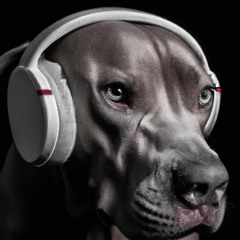 ELBEDROOM - DUBSTEP - MIX BY ROODD