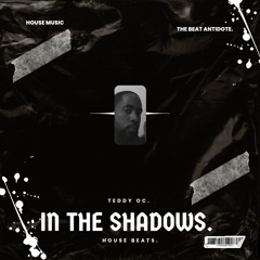 In the shadows Dance & EDM Instrumental