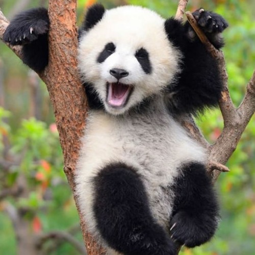 Overwhelmed ft. Christian Gates & Ryan Mack