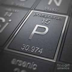 Magnus Fischer ft Ashes and Dreams - Phosphorus