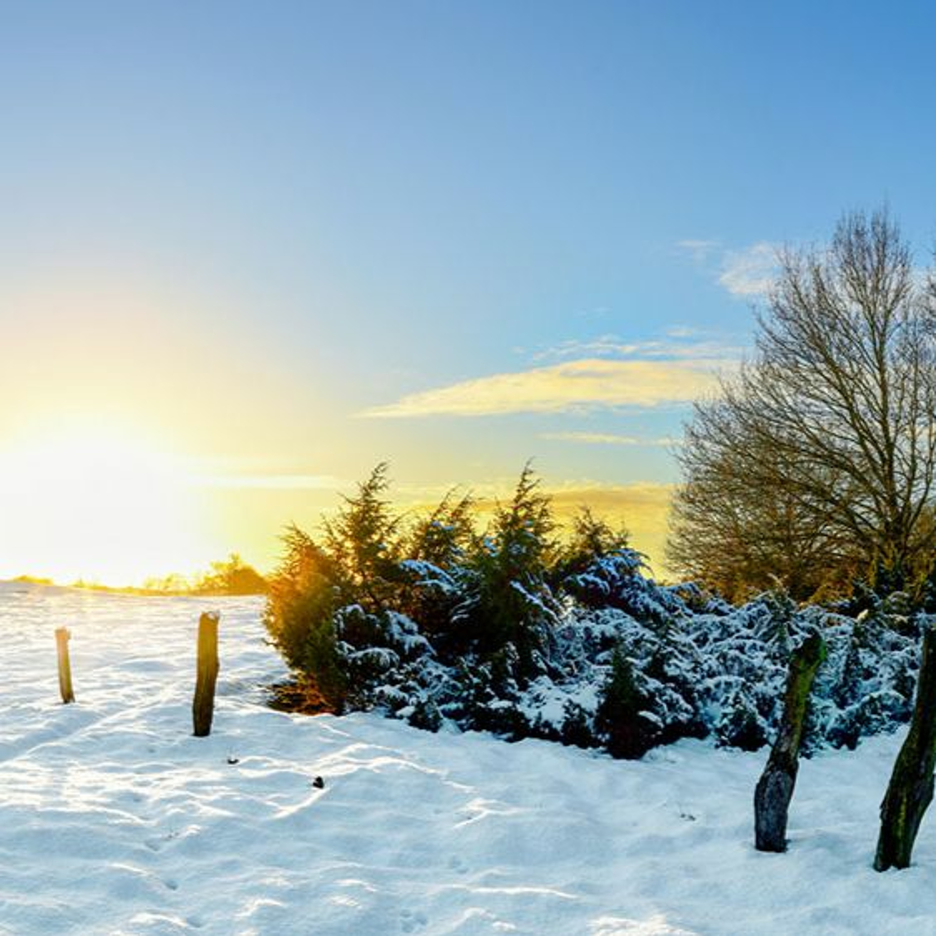 A Year-End Praise for God's Bounty