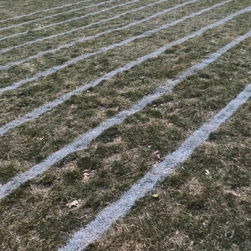 The Early Bird Show w/ Spirit Blue 180625