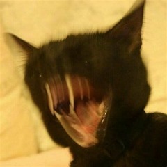 vampire cat theme