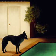 pharoah walks the nightlands