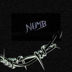 Numb (free$tyle)