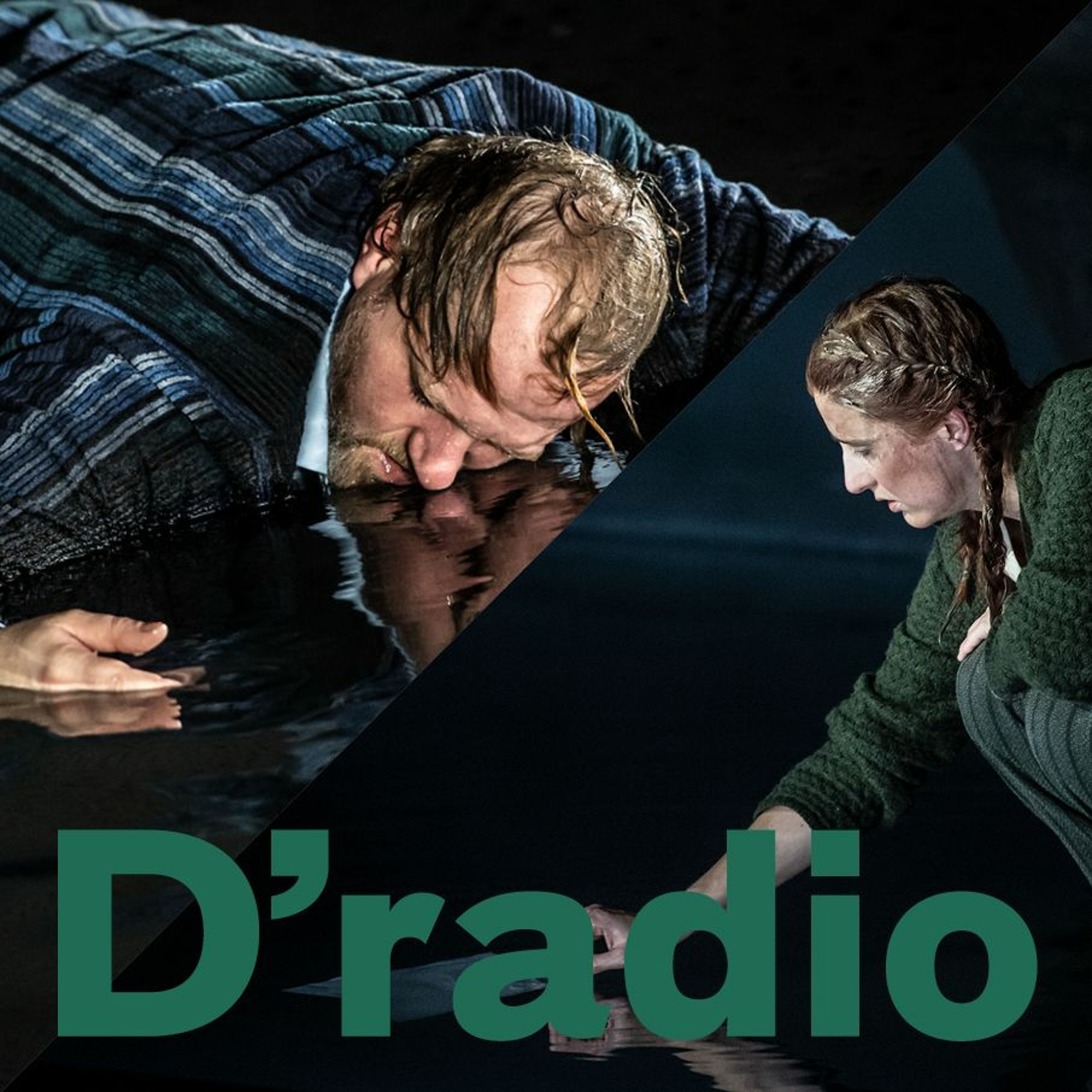 Einführung zu »Trauer ist das Ding mit Federn« und »Die Wand« episode artwork
