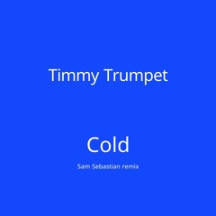 Cold (Sam Sebastian Remix)