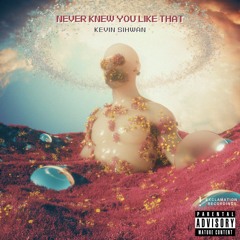 Kevin Sihwan - Never Knew You Like That