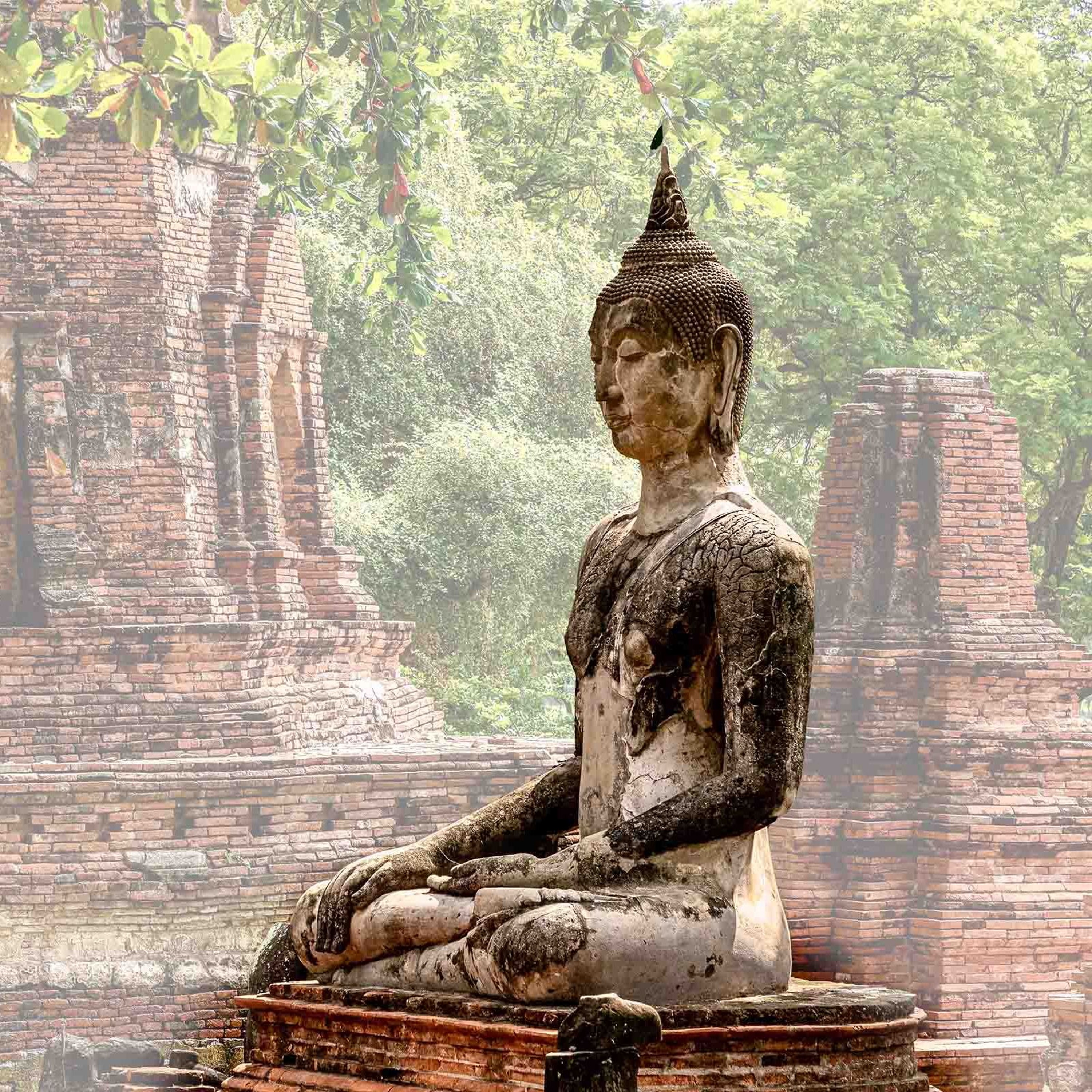 Associazione Kalyanamitta: Meditazione, Mindfulness, Buddhismo