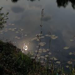 Natalia Panzer 111025