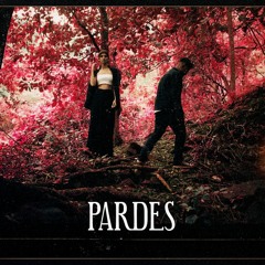 Pardes ft.Priyansh Paliwal