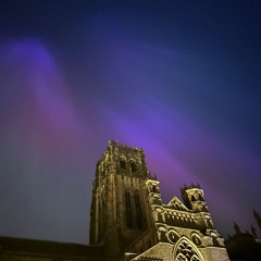 Hold Me For The Night - ANTI LA VIE