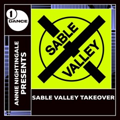 BBC Radio 1 Sable Valley Takeover
