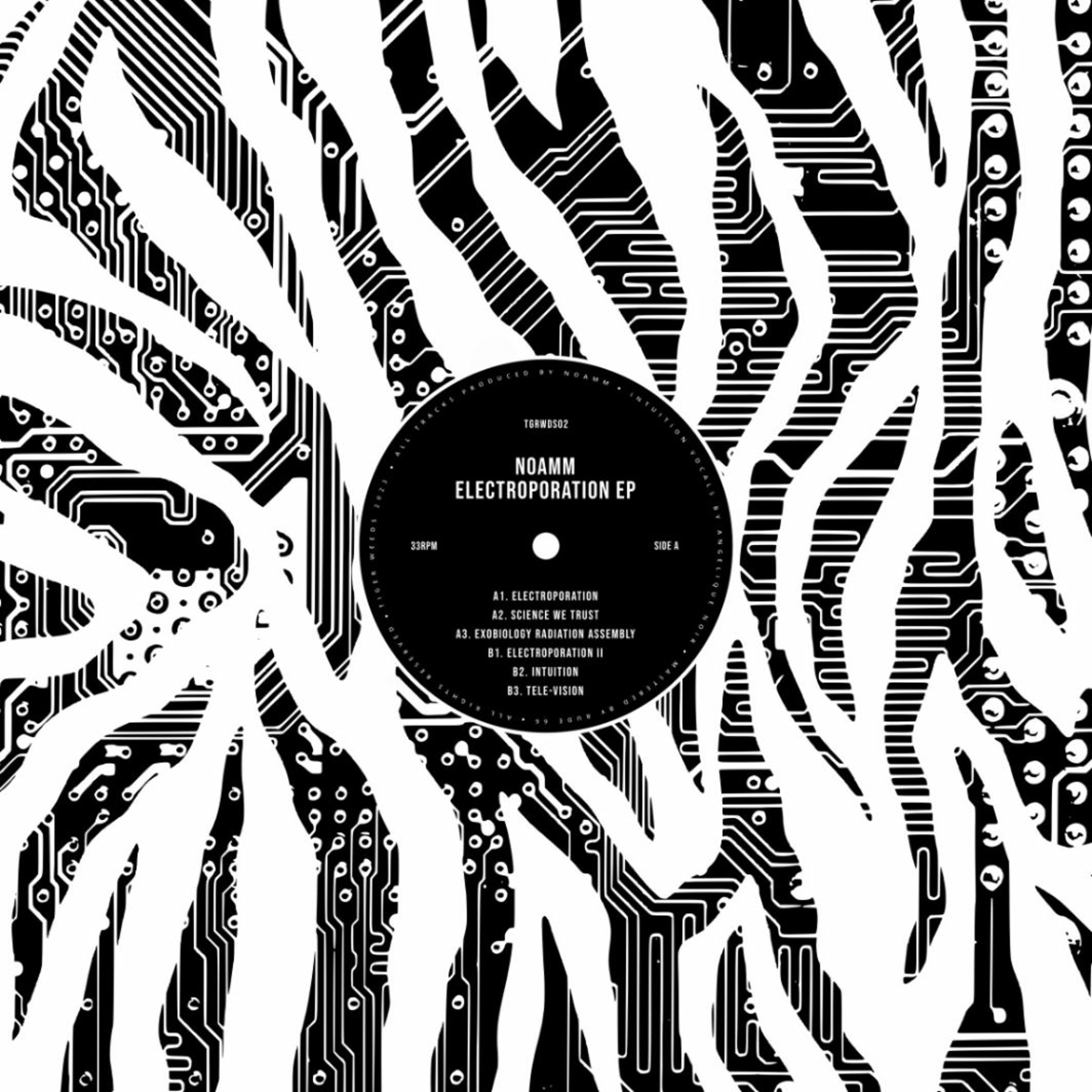 WhiteLight//WhiteHeat