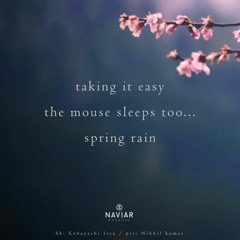 Spring Rain - (NaviarHaiku - 530)