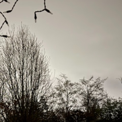 boxbreathing in an atmospheric river