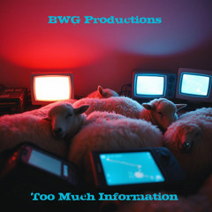 Too Much Information