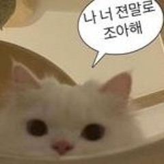 너답기기안 (너의 답장을 기다리다가 기분이 안좋아졌어) H!NE cover