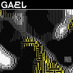 GAEL ★ DEESTRICTED at RSO.Berlin [24.01.25]