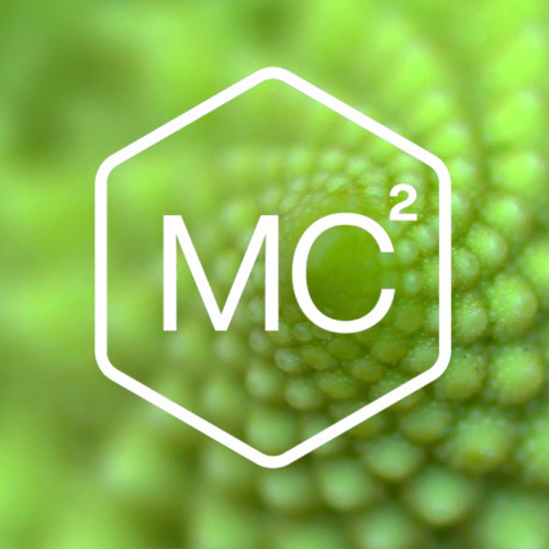 586. A 12-MInute Guided Meditation for When I am Along the Trees