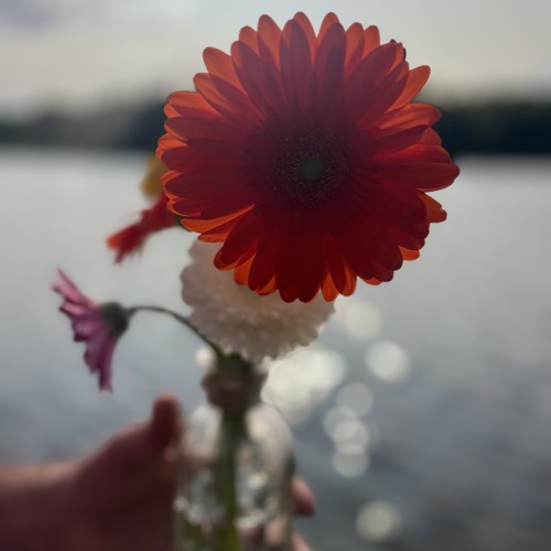Kind and Generous (Cover)