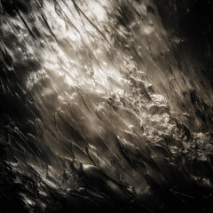 Divara EP