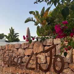 Niche [Ethno/Downtempo]