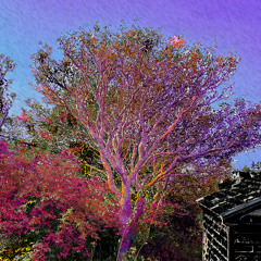 You can read my mind