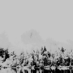 Black Forest