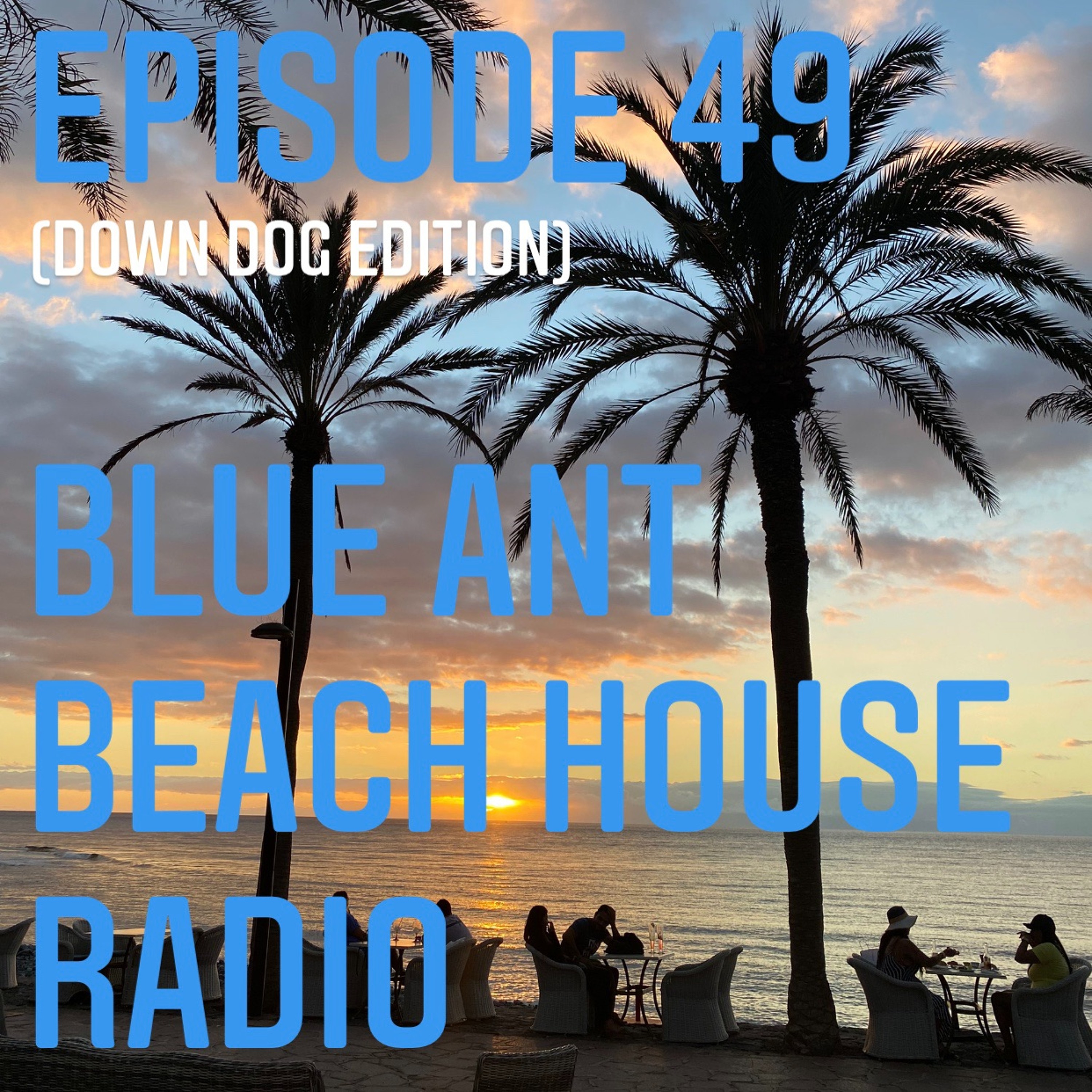 BlueAnt Beach House Radio
