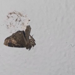 Indecisive (prod. zacariiah)