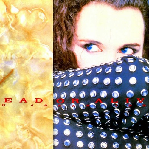 Dead or Alive - Rip It Up Tour Setlist Recreated