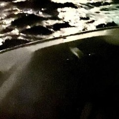 9mice — LUNGS FLOWERS / VNUTRI