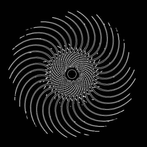 The Matriarchy Series [WAVE004]