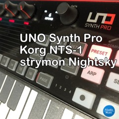 UNO Synth Pro | Korg NTS-1 | strymon Nightsky