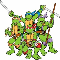 DRMIXS  Teenage Mutant Ninja Turtles RAP