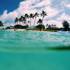 Some kind of Paradise
