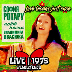 Sofia Rotaru - Love Blooms Just Once | Live in 1975 | Софiя Ротару - Тільки раз цвіте любов