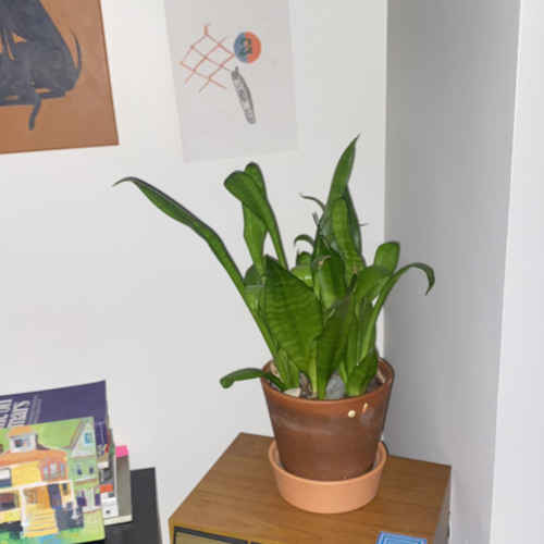 r.ss @ Counterbalance (2024.11.17)