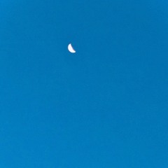 Need You (Prod. Zane98)