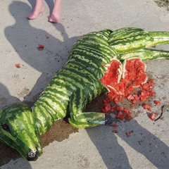 Арбузный Ебака