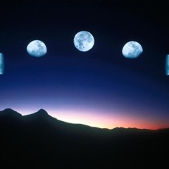 Xylophonia - Remixed