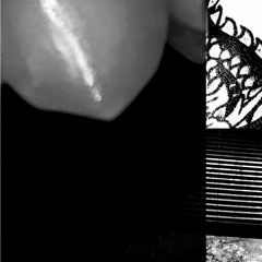 ✧･ﾟ: ✧･ﾟ:d o n t r u n:･ﾟ✧:･ﾟ✧