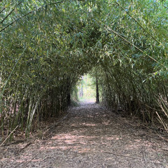 Thought we had it all