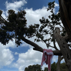 صاحبي كبدي من جروحه هشيمه :(