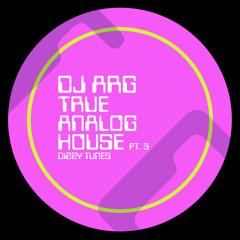 True Analog House 047