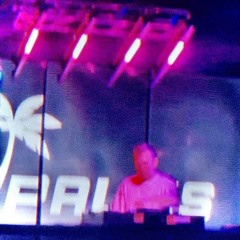 BEST OF PALMS - ORIGINALS MIX 2025