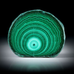 Hans Moeckli - Amek 001 - Snippet