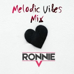 Melodic Vibes Mix 12