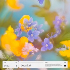 DTT Felix - been lost